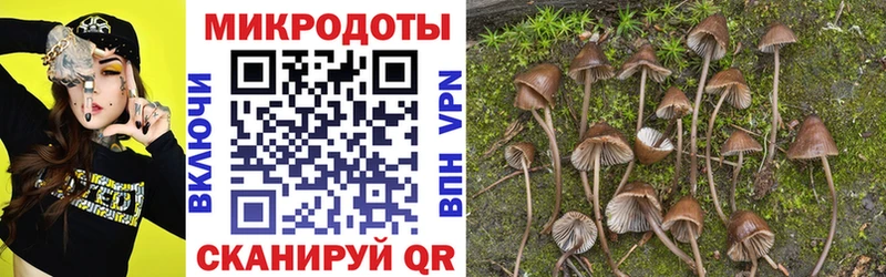 Галлюциногенные грибы Cubensis магазин продажи Устюжна